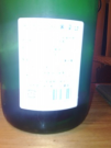 20090413120