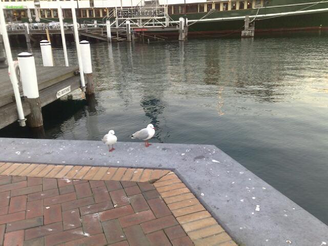 1/2009082017330814-20090818425.jpg 1/2009082017330814-20090818425-small.jpg