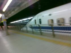 20101216039.jpg