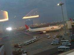 20110227332.jpg