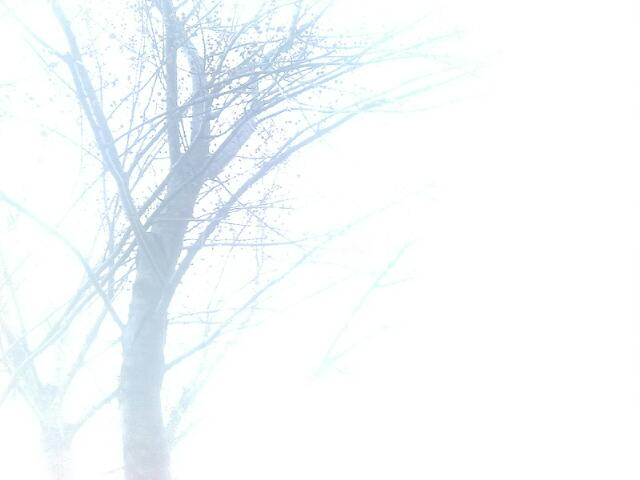 1/2011031800525000-20110316443.jpg 1/2011031800525000-20110316443-small.jpg