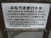 P1020513 P1020513