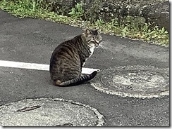 IMG_3042