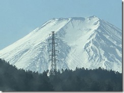 IMG_0647