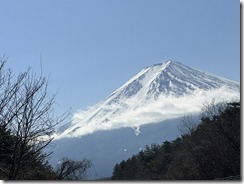 IMG_0650
