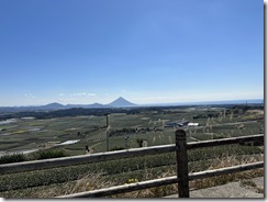 IMG_0711