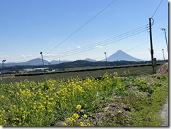 IMG_0718
