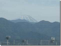 IMG_1249