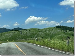 IMG_2250