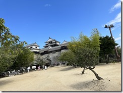 IMG_2512(1)