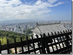 IMG_2519(1)