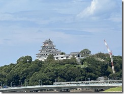 IMG_2604
