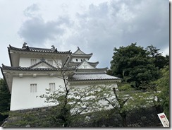 IMG_6176