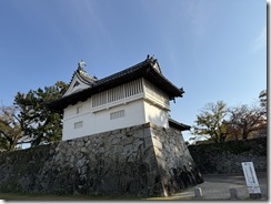 IMG_0653