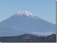 IMG_0906