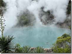 IMG_6024