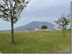 IMG_2313(1)