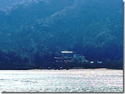 IMG_0502(1)