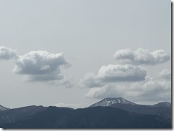 IMG_0903