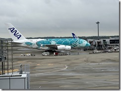 IMG_1578