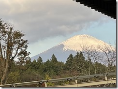 IMG_3250