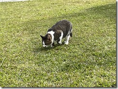 IMG_3083