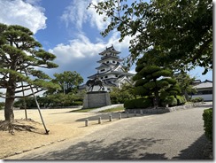 IMG_2542(1)