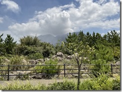 IMG_1253(1)