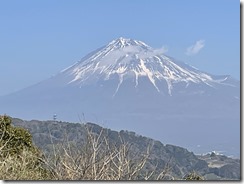 IMG_3854(1)